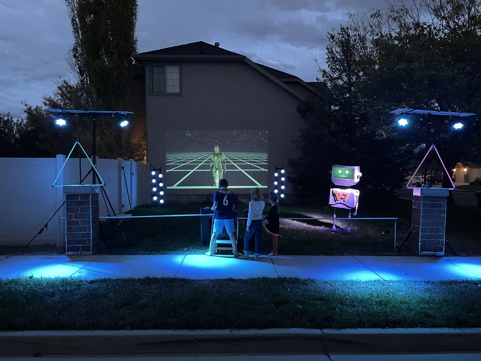Nocturnal display at night